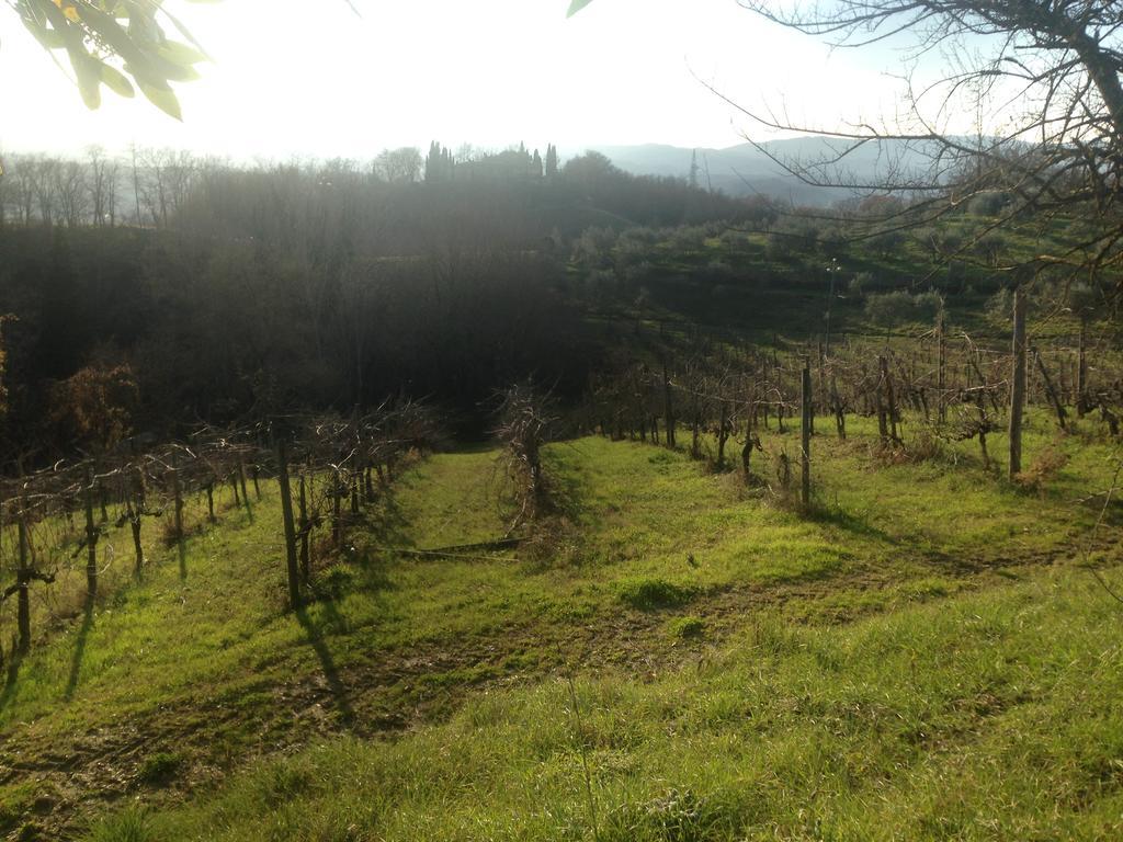 Podere San Lorenzo Террануова-Браччолини Экстерьер фото